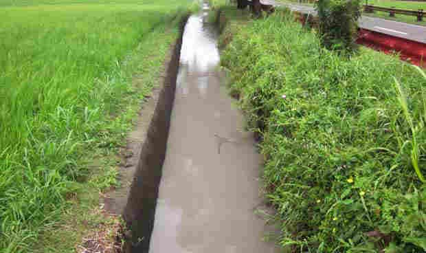 P336.8-M funding, contracts for three river irrigation systems signed