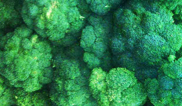2016_0215_broccoli