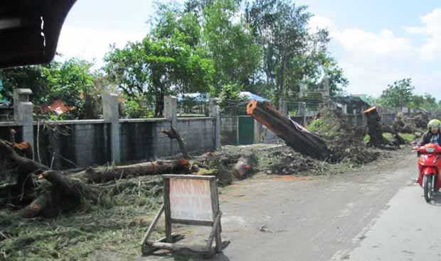 Albay province cuts 287 trees along the highway, receives green eco champion award