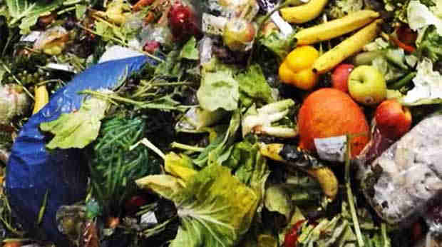 France leads Europe, the world in fight against supermarket food waste