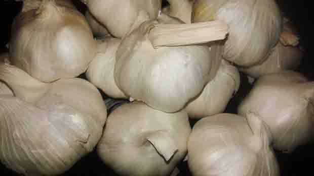 Agriculture Secretary Pinol admits garlic cartel exists, bans 43 traders