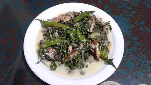 This is how to cook young cassava top leaves on coconut milk