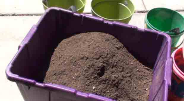 This is the transcript of the best green hack for making best potting soil mix