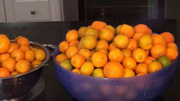 Watch Secret Revealed: How to prolong shelf life of Lemon, Kalamansi and Lime