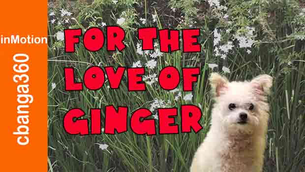 Watch Ginger goes to heaven in springtime