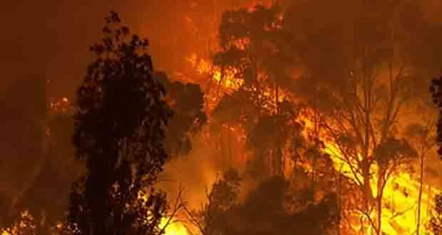 Bushfires wrecking havoc in Australia.